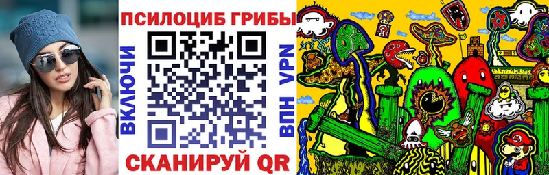 Купить  Чебаркуль  Псилоцибиновые грибы Cubensis 