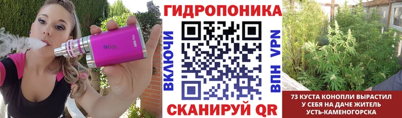 Конопля Bruce Banner  Купить где  Чебаркуль 